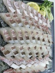 회뜰날