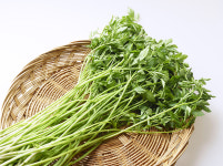 삼장샤브칼국수 전주송천본점