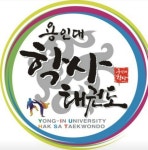 용인대학사태권도