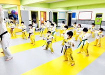 고려강호태권도
