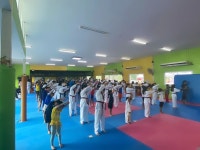 용인대학사태권도