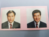 내포가발
