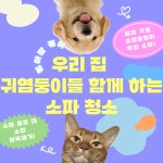 청아람케어