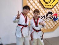 용인대학사태권도