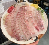 쫑포 금바우