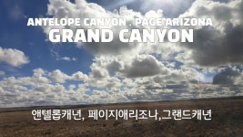 시흥본관 경희대 수태권도