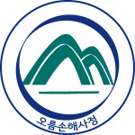 오름손해사정