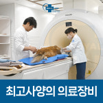 로얄동물메디컬센터 본원