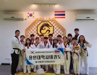 용인대학사태권도