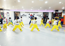 고려강호태권도
