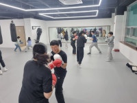 SY 복싱&주짓수