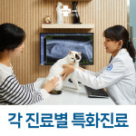 로얄동물메디컬센터 본원