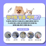 청아람케어