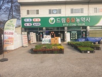 드림종묘농약사