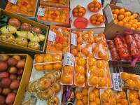 금호과일원두막