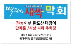백김치 새싹막회 서신본점