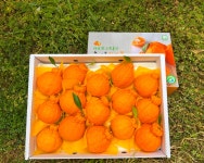 하늘애그린농장