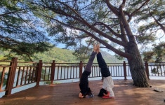 김현숙요가센터