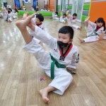 21세기럭키태권도