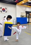스타일태권도