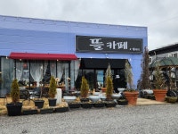 뜰 cafe&gallery