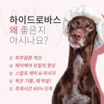 펫엔조이 서귀포점