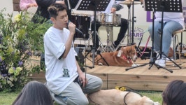 청평동물병원