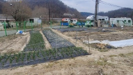상보안유원지창식이주말농장