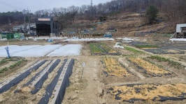 상보안유원지창식이주말농장