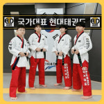 국가대표현대태권도