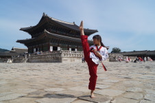 나래태권도