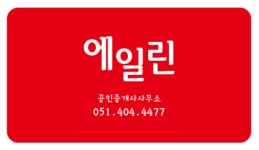 에일린 공인중개사사무소