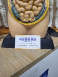 약손힐링센터