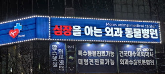 맘스동물의료센터