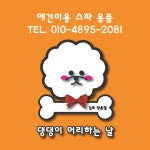 댕댕이머리하는날