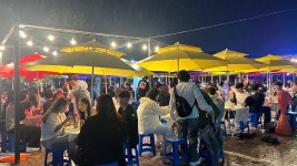 다옴피앤씨