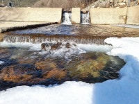 청산마을 가족단체펜션