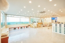 댕스럽개 애견유치원&애견호텔