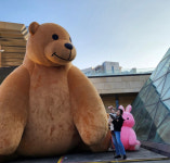 바니베어뮤지엄