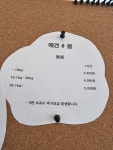 애견샵 붐