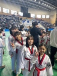 용인대학사태권도