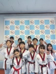 용인대학사태권도