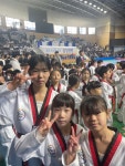 용인대학사태권도