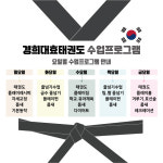 경희대효태권도