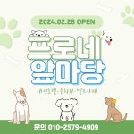 프로네앞마당 애견카페 & 애견유치원
