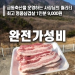 원동미나리캠프