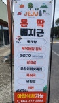 몬딱배지근