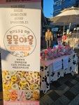 몽몽야옹