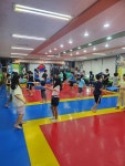 용인대한얼태권도