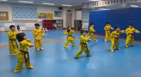 용인대학사태권도